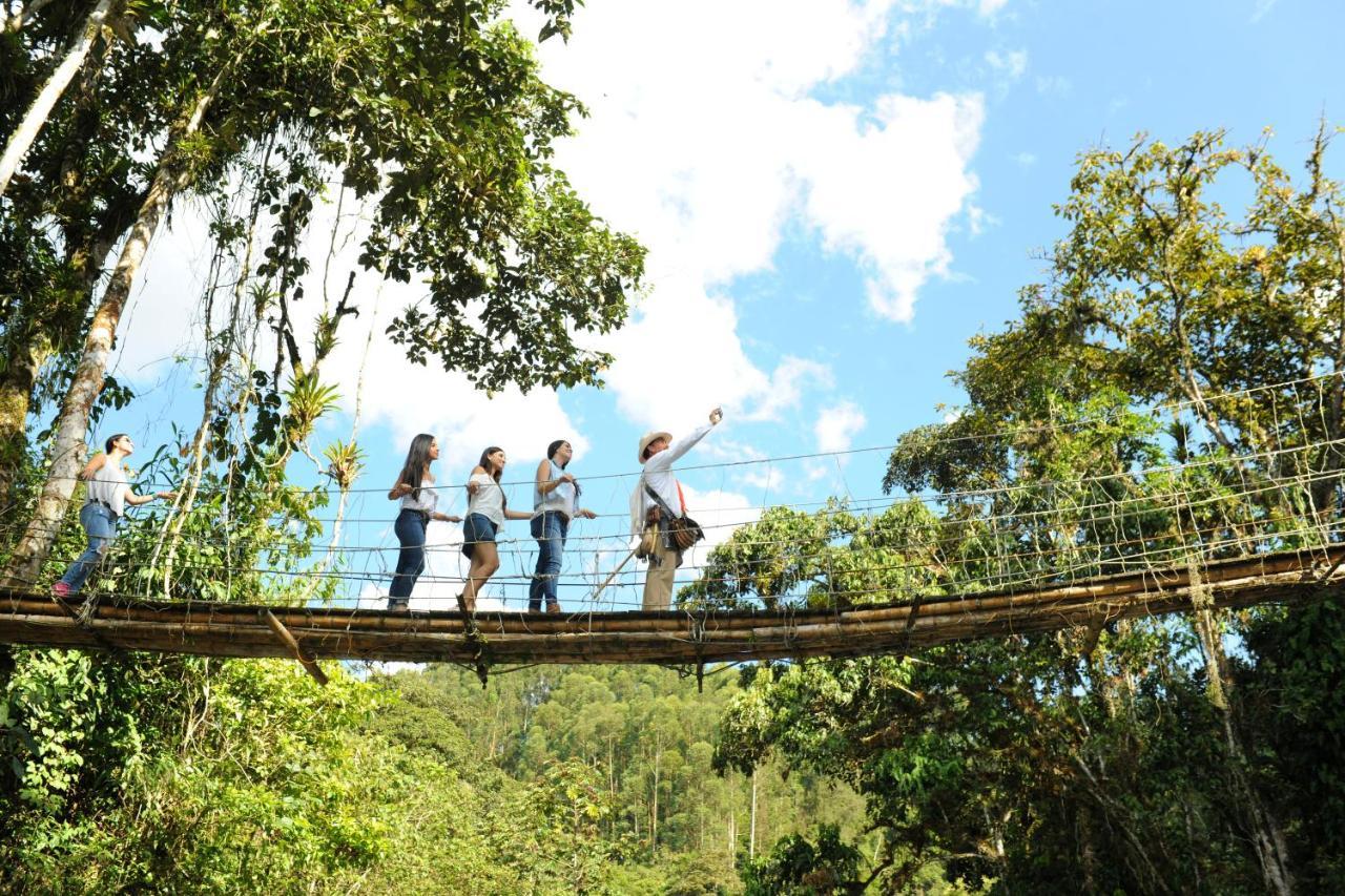 Hacienda Charrascal Coffe Farm Lägenhet Manizales Exteriör bild